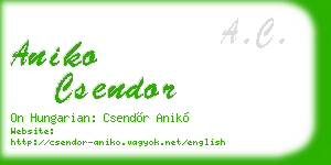 aniko csendor business card